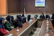 برگزاری کارگاه آموزشی برنامه سالمندان در شبکه بهداشت و  درمان اسلامشهر